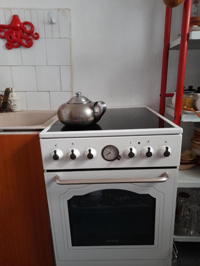 Apartament Anca Timisoara Exterior foto